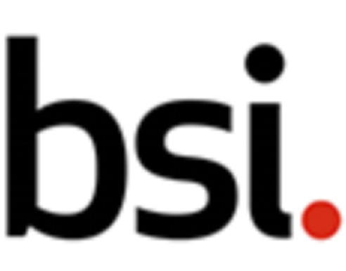 英國(guó)標(biāo)準(zhǔn)協(xié)會(huì) (BSI)